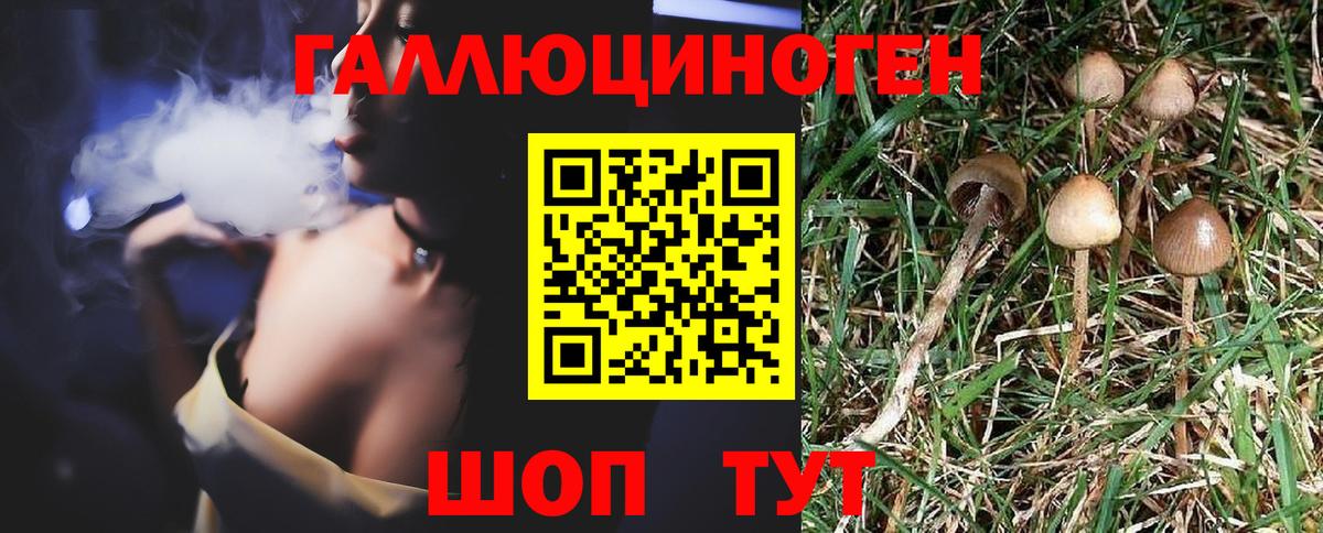 Галлюциногенные грибы Magic Shrooms  Вход с VPN  Волгодонск 