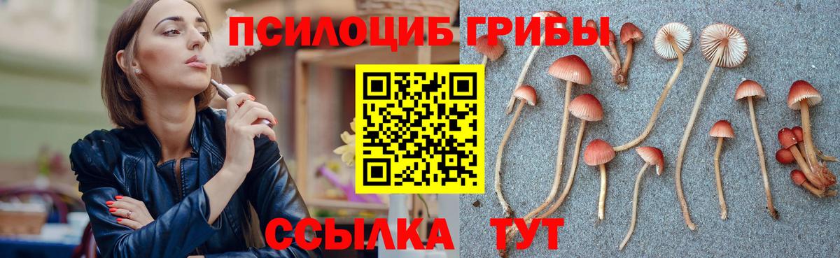 Псилоцибиновые грибы GOLDEN TEACHER Волгодонск